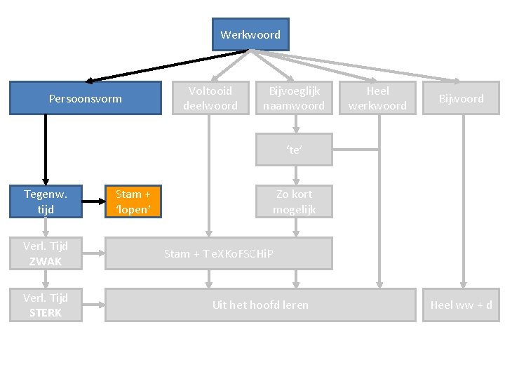 Werkwoord Persoonsvorm Voltooid deelwoord Bijvoeglijk naamwoord Heel werkwoord Bijwoord ‘te’ Tegenw. tijd Verl. Tijd
