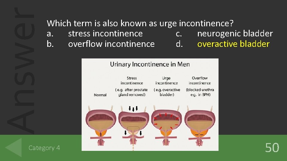 Answer Which term is also known as urge incontinence? a. stress incontinence c. neurogenic Answer Which term is also known as urge incontinence? a. stress incontinence c. neurogenic