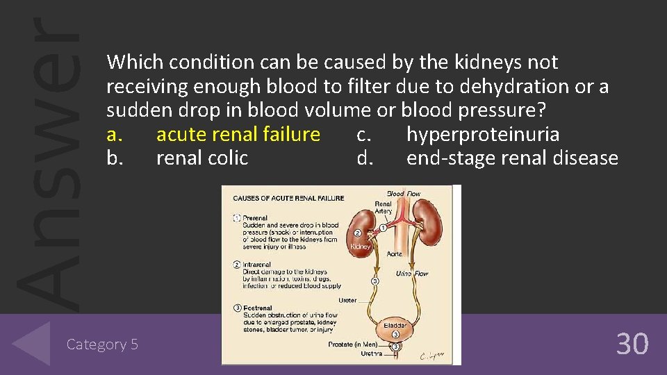 Answer Which condition can be caused by the kidneys not receiving enough blood to Answer Which condition can be caused by the kidneys not receiving enough blood to
