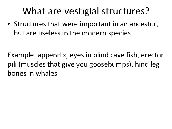 What are vestigial structures? • Structures that were important in an ancestor, but are