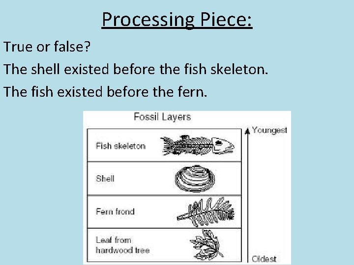 Processing Piece: True or false? The shell existed before the fish skeleton. The fish