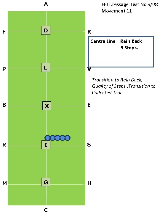 FEI Dressage Test No 9/08 Movement 11 A F D K Centre Line Rein