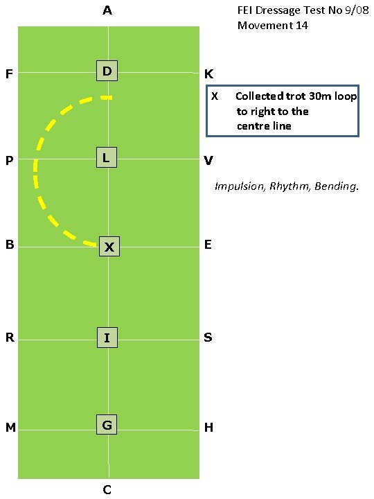 FEI Dressage Test No 9/08 Movement 14 A F D K X P L
