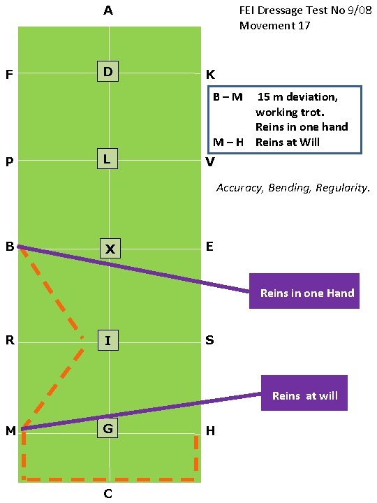 FEI Dressage Test No 9/08 Movement 17 A F D K B–M 15 m