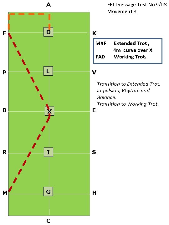 FEI Dressage Test No 9/08 Movement 3 A F D K MXF FAD P