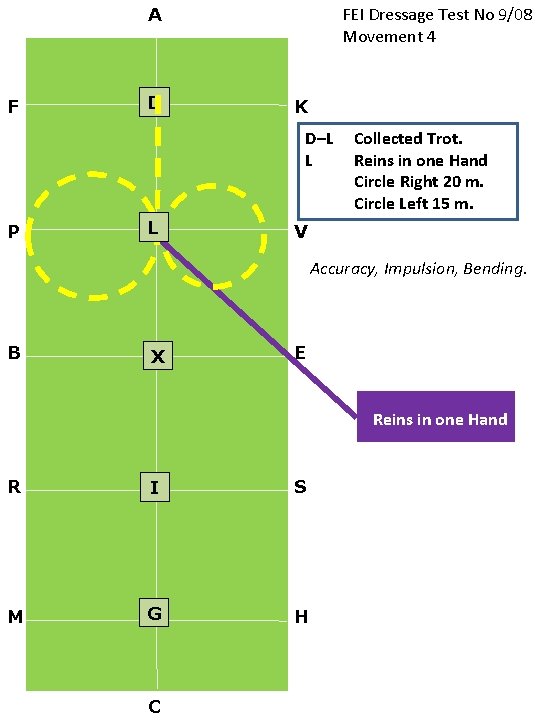 FEI Dressage Test No 9/08 Movement 4 A F D K D–L L P