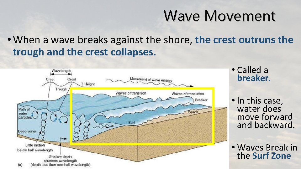 Wave Movement • When a wave breaks against the shore, the crest outruns the Wave Movement • When a wave breaks against the shore, the crest outruns the