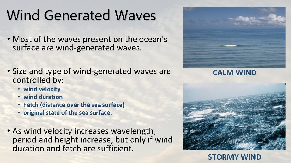 Wind Generated Waves • Most of the waves present on the ocean’s surface are