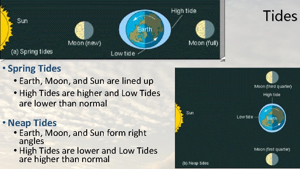 Tides • Spring Tides • Earth, Moon, and Sun are lined up • High