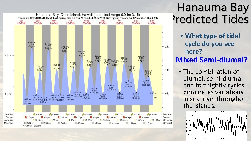 Hanauma Bay Predicted Tides • What type of tidal cycle do you see here?