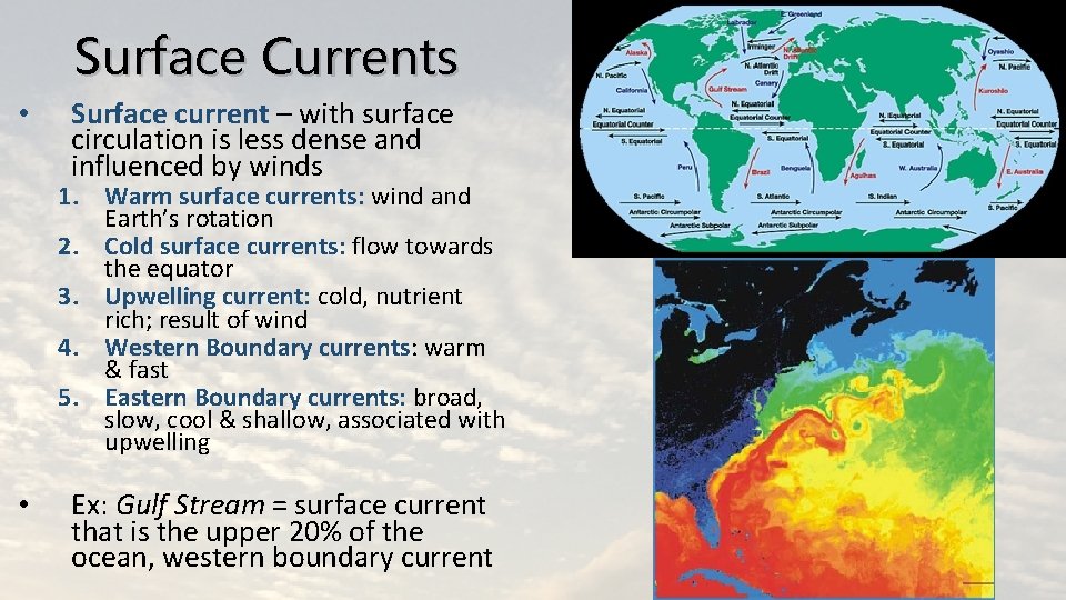 Surface Currents • Surface current – with surface circulation is less dense and influenced Surface Currents • Surface current – with surface circulation is less dense and influenced