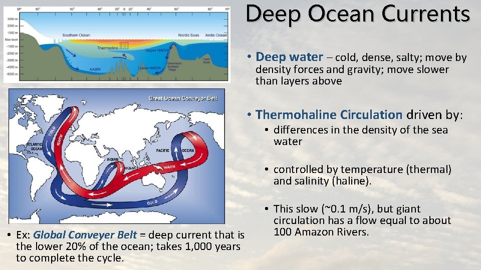 Deep Ocean Currents • Deep water – cold, dense, salty; move by density forces