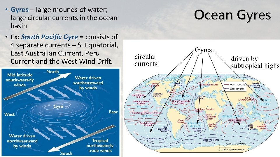  • Gyres – large mounds of water; large circular currents in the ocean