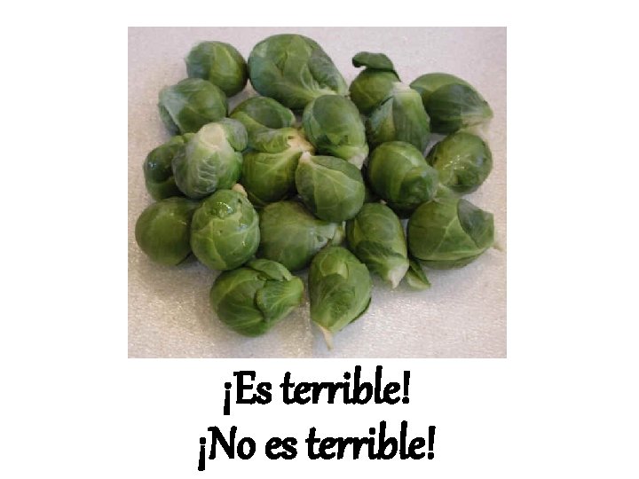 ¡Es terrible! ¡No es terrible! 