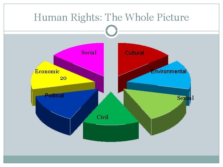 Human Rights: The Whole Picture Social Cultural Environmental Economic 20 Political Sexual Civil 