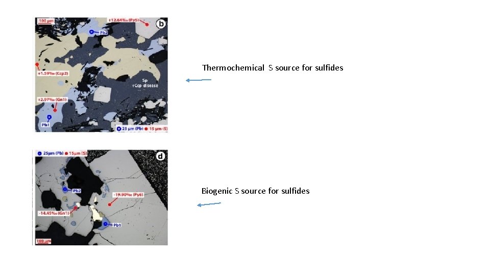 Thermochemical S source for sulfides Biogenic S source for sulfides 