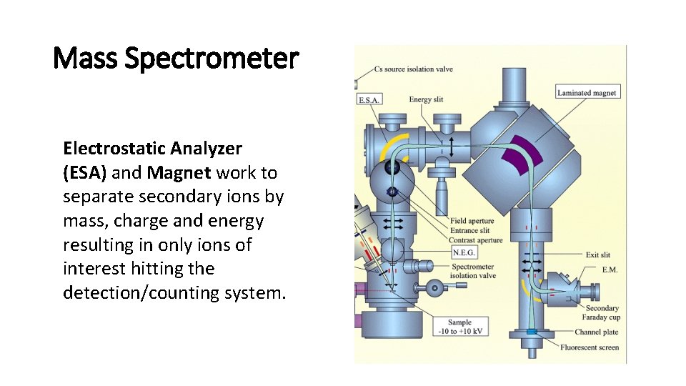 Mass Spectrometer Electrostatic Analyzer (ESA) and Magnet work to separate secondary ions by mass,