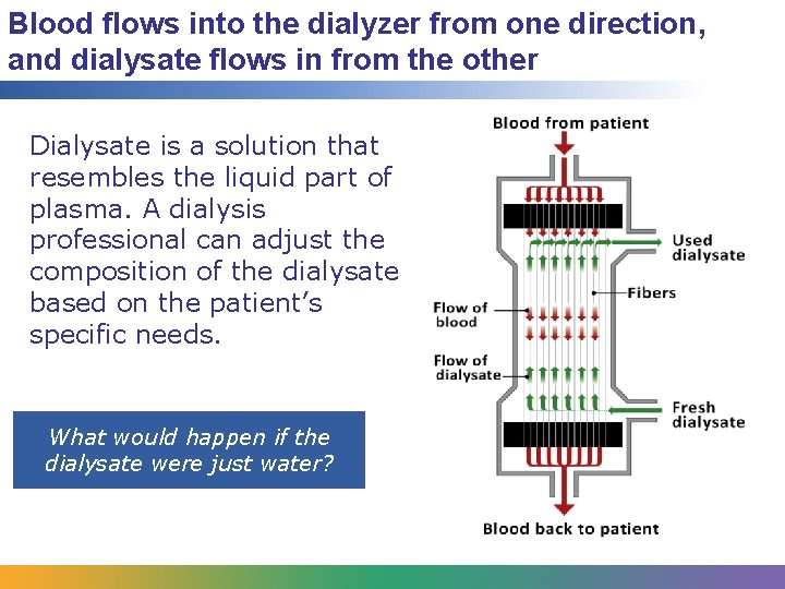 Blood flows into the dialyzer from one direction, and dialysate flows in from the