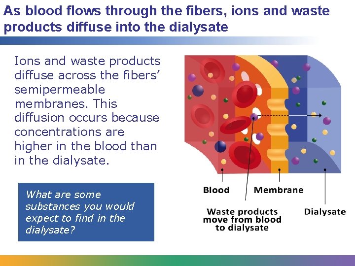 As blood flows through the fibers, ions and waste products diffuse into the dialysate