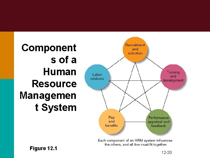 Component s of a Human Resource Managemen t System Figure 12. 1 12 -20