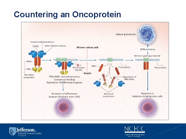 Countering an Oncoprotein 