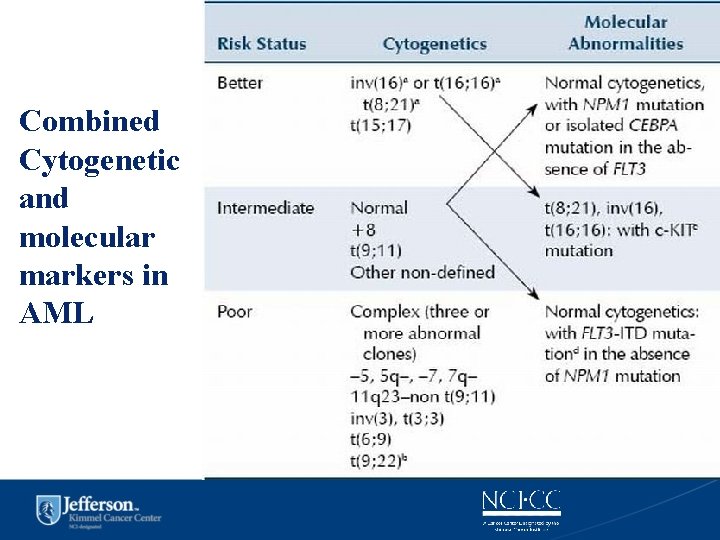Combined Cytogenetic and molecular markers in AML 