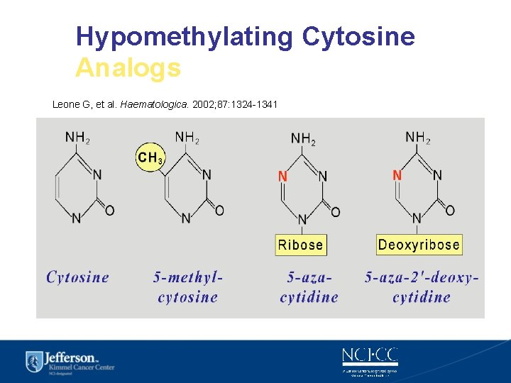 Hypomethylating Cytosine Analogs Leone G, et al. Haematologica. 2002; 87: 1324 -1341 