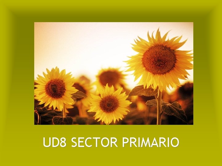 UD 8 SECTOR PRIMARIO 