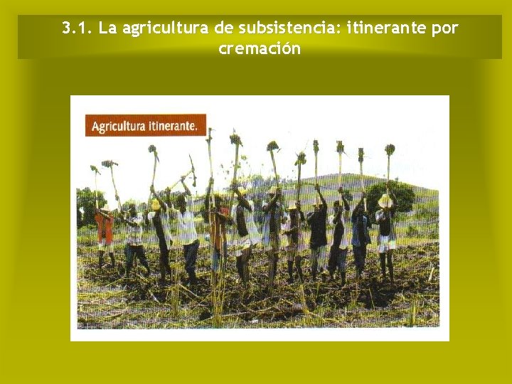 3. 1. La agricultura de subsistencia: itinerante por cremación 