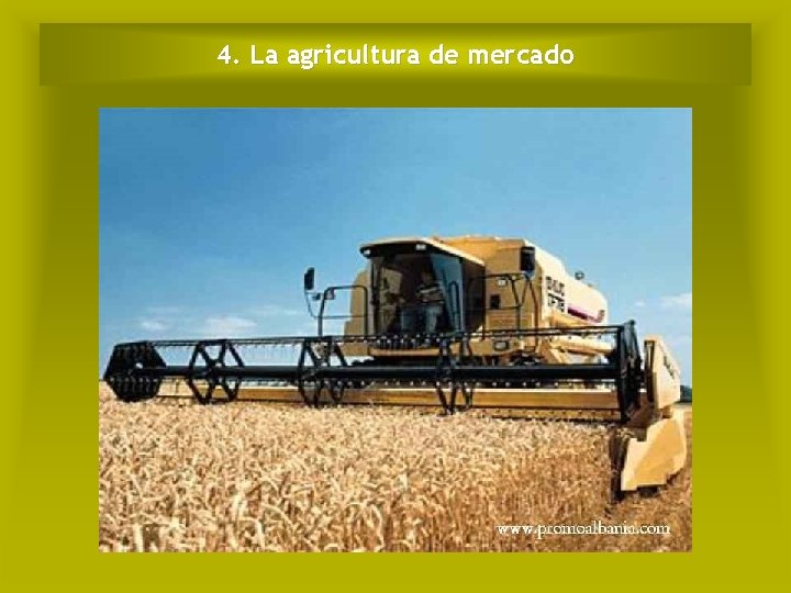 4. La agricultura de mercado 