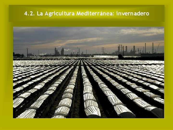 4. 2. La Agricultura Mediterránea: invernadero 