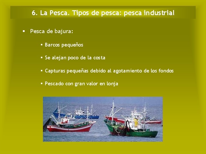 6. La Pesca. Tipos de pesca: pesca industrial § Pesca de bajura: § Barcos