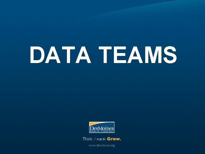 DATA TEAMS 