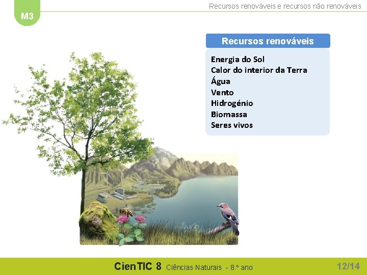 Recursos renováveis e recursos não renováveis M 3 Recursos renováveis Energia do Sol Calor