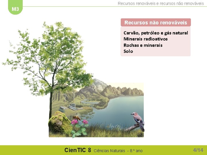 Recursos renováveis e recursos não renováveis M 3 Recursos não renováveis Carvão, petróleo e