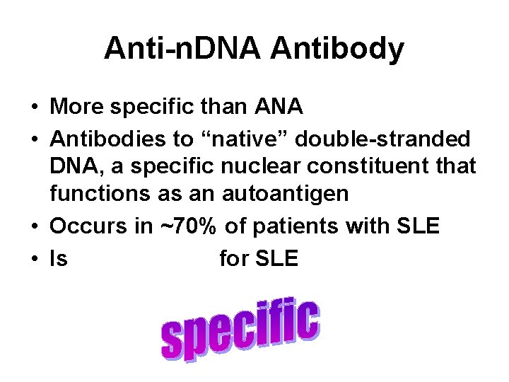 Anti-n. DNA Antibody • More specific than ANA • Antibodies to “native” double-stranded DNA,