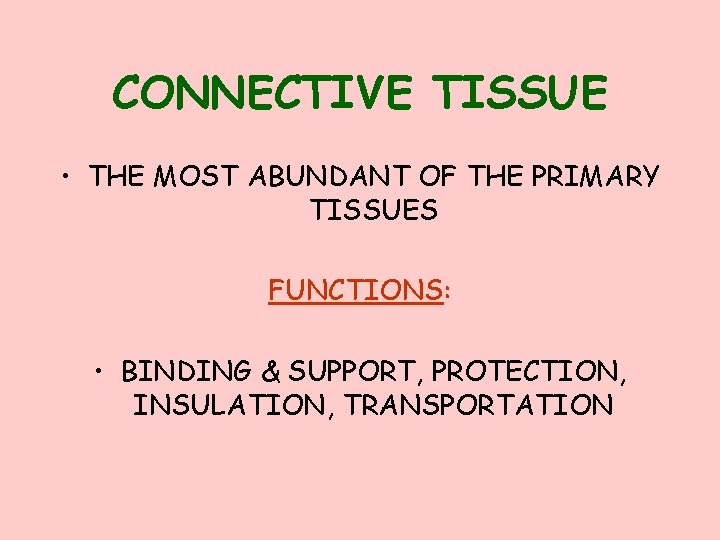 CONNECTIVE TISSUE • THE MOST ABUNDANT OF THE PRIMARY TISSUES FUNCTIONS: • BINDING &