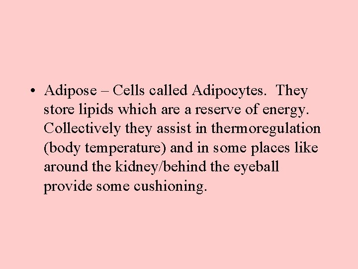  • Adipose – Cells called Adipocytes. They store lipids which are a reserve