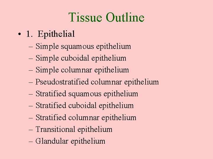 Tissue Outline • 1. Epithelial – Simple squamous epithelium – Simple cuboidal epithelium –