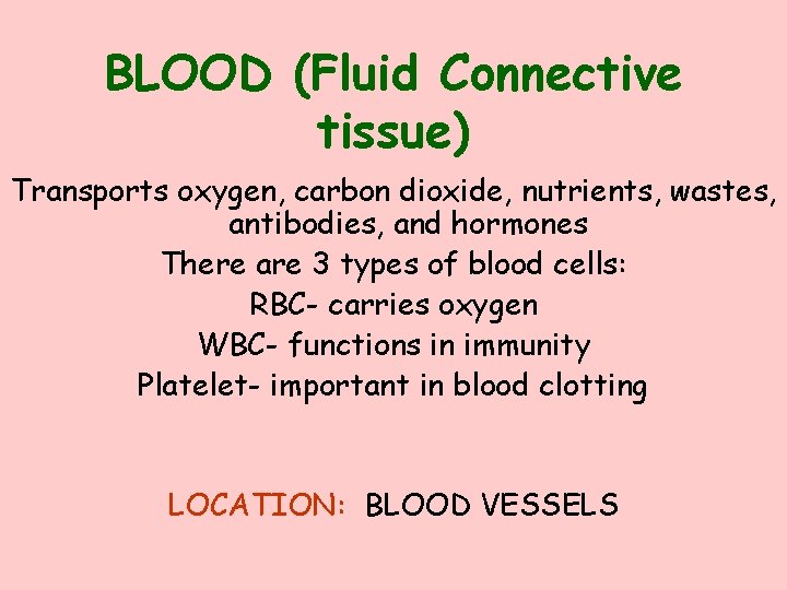 BLOOD (Fluid Connective tissue) Transports oxygen, carbon dioxide, nutrients, wastes, antibodies, and hormones There