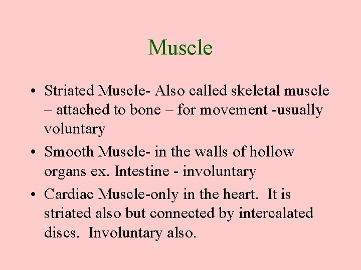 Muscle • Striated Muscle- Also called skeletal muscle – attached to bone – for