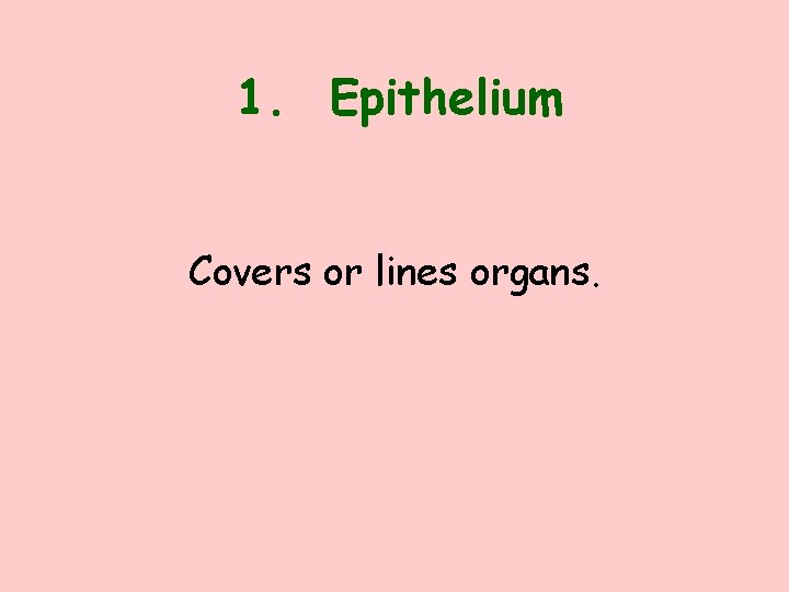 1. Epithelium Covers or lines organs. 