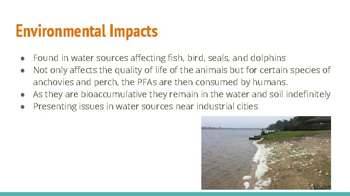 Environmental Impacts ● Found in water sources affecting fish, bird, seals, and dolphins ●