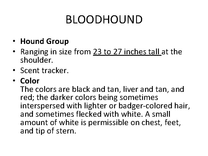 BLOODHOUND • Hound Group • Ranging in size from 23 to 27 inches tall