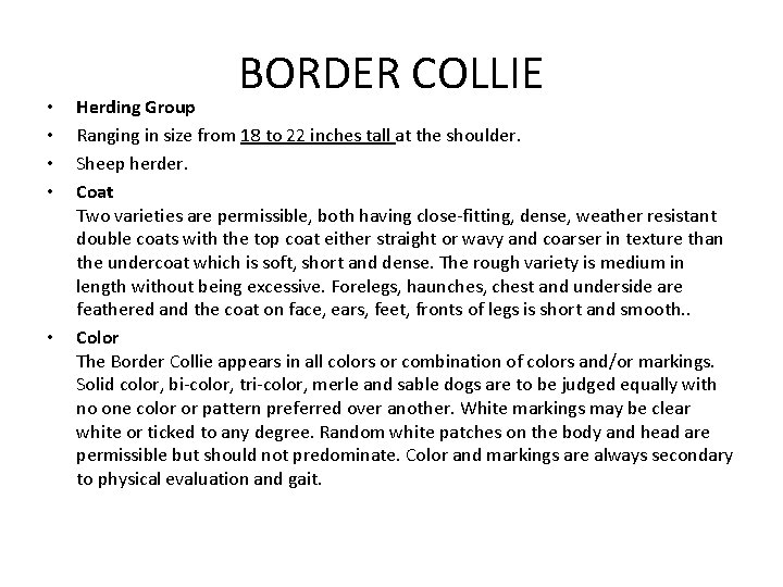  • • • BORDER COLLIE Herding Group Ranging in size from 18 to