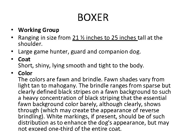 BOXER • Working Group • Ranging in size from 21 ½ inches to 25