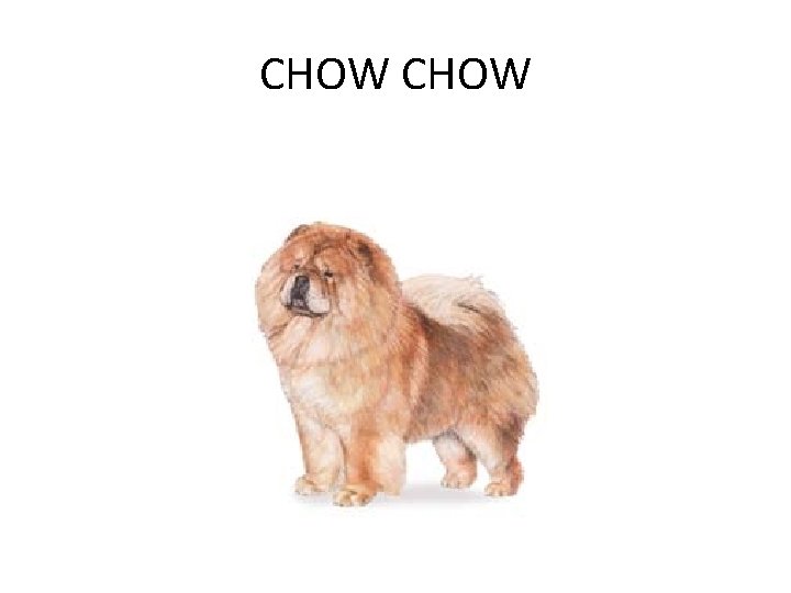 CHOW 