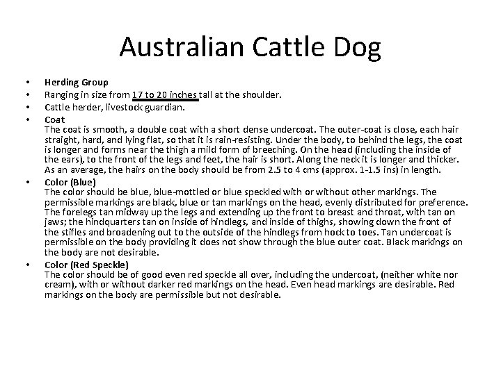 Australian Cattle Dog • • • Herding Group Ranging in size from 17 to