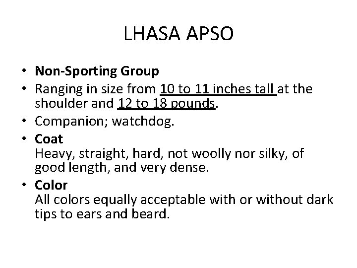 LHASA APSO • Non-Sporting Group • Ranging in size from 10 to 11 inches