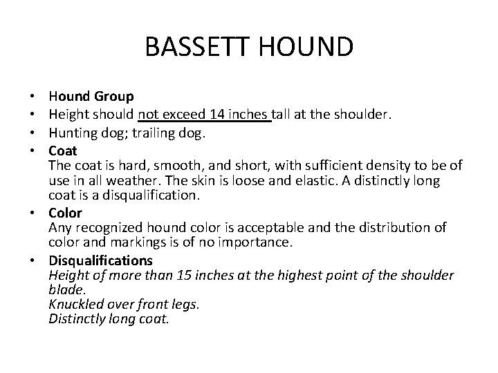 BASSETT HOUND Hound Group Height should not exceed 14 inches tall at the shoulder.